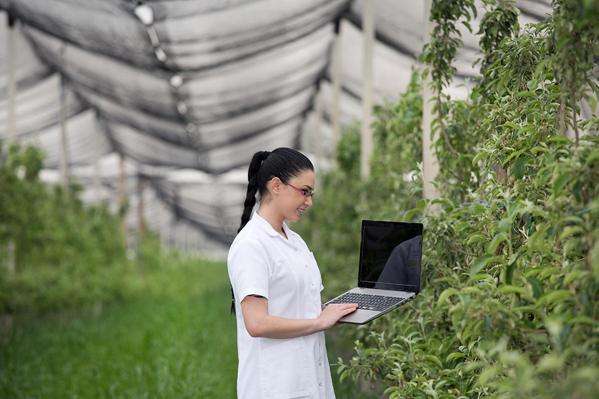 Master Sciences  et technologies de l’agriculture, de l’alimentation et de l’environnement  Parcours Sciences Agronomiques et Environnementales