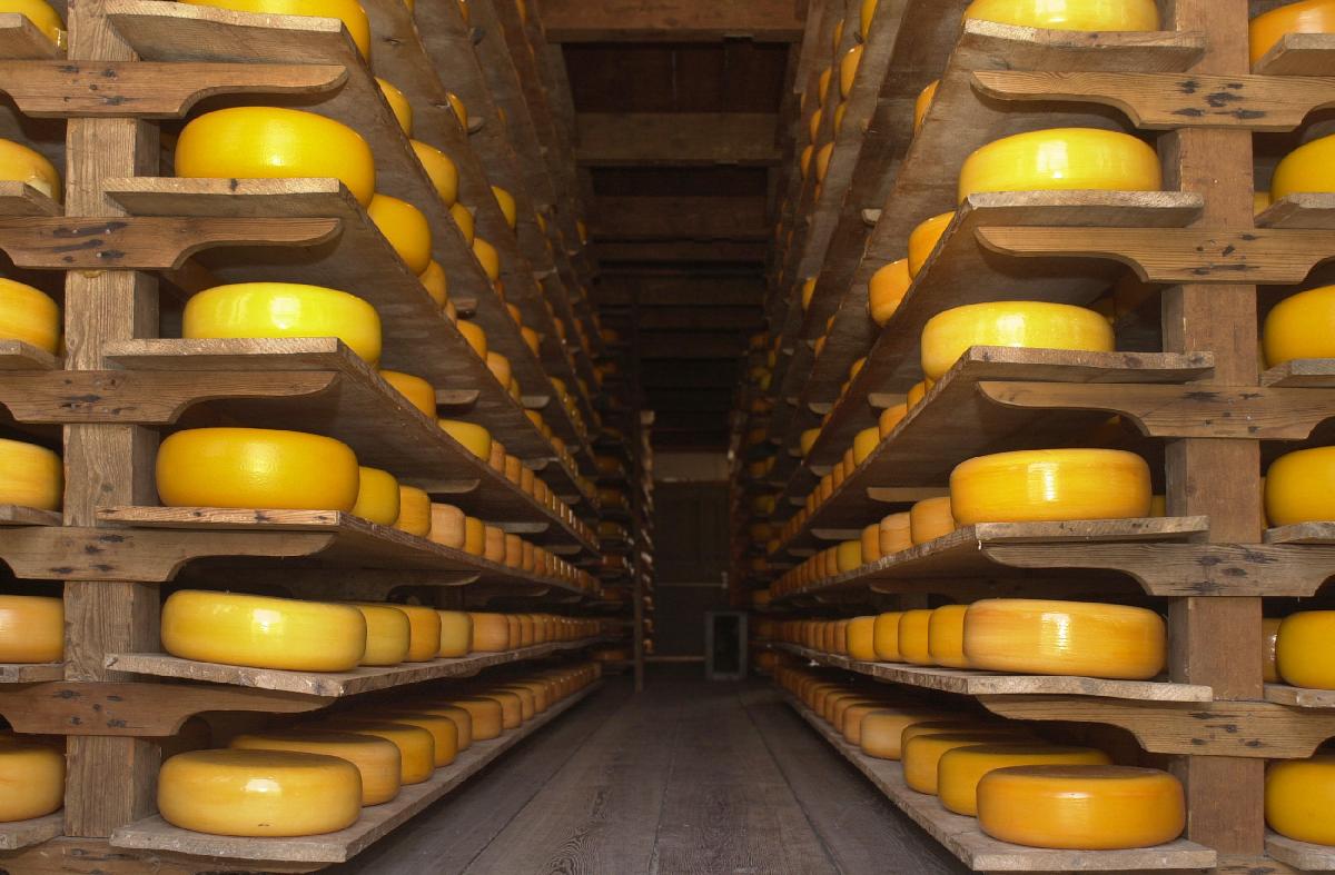 Licence Professionnelle Fromagerie : technologie innovation qualité